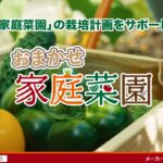 『おまかせ家庭菜園』を発売しました
